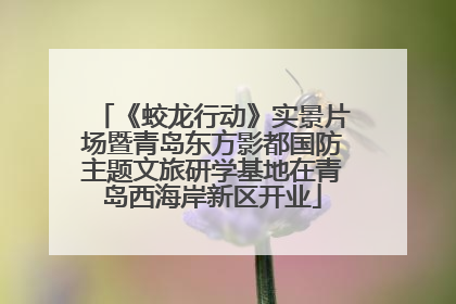 《蛟龙行动》实景片场暨青岛东方影都国防主题文旅研学基地在青岛西海岸新区开业