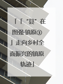 「“县”在图强·镇原③」走向乡村全面振兴的镇原轨迹