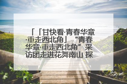 「甘快看·青春华章·重走西北角」“青春华章·重走西北角”采访团走进花舞南山 探寻天水乡村振兴之路