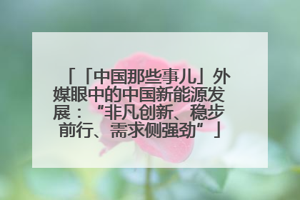 「中国那些事儿」外媒眼中的中国新能源发展：“非凡创新、稳步前行、需求侧强劲”