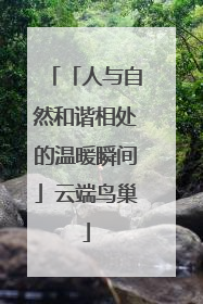 「人与自然和谐相处的温暖瞬间」云端鸟巢