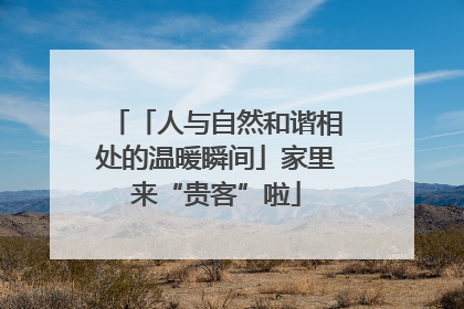 「人与自然和谐相处的温暖瞬间」家里来“贵客”啦