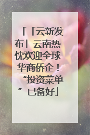 「云新发布」云南热忱欢迎全球华商侨企！“投资菜单”已备好