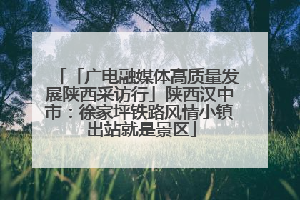 「广电融媒体高质量发展陕西采访行」陕西汉中市：徐家坪铁路风情小镇 出站就是景区