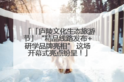 「庐陵文化生态旅游节」“精品线路发布+研学品牌亮相” 这场开幕式亮点纷呈！