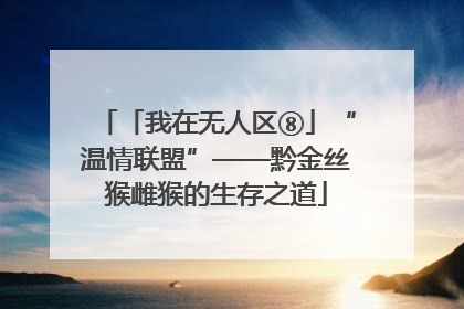 「我在无人区⑧」“温情联盟”——黔金丝猴雌猴的生存之道