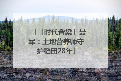 「时代脊梁」聂军：土地营养师守护稻田28年