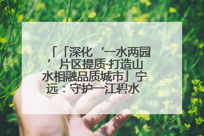 「深化‘一水两园’片区提质·打造山水相融品质城市」宁远：守护一江碧水 共享幸福河湖
