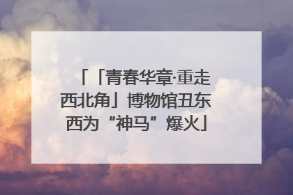 「青春华章·重走西北角」博物馆丑东西为“神马”爆火