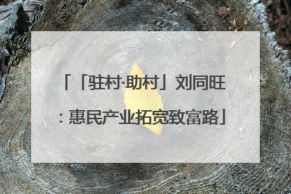 「驻村·助村」刘同旺：惠民产业拓宽致富路