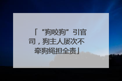 “狗咬狗”引官司，狗主人屡次不牵狗绳担全责