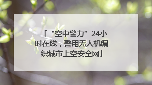 “空中警力”24小时在线，警用无人机编织城市上空安全网