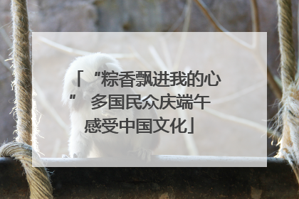 “粽香飘进我的心” 多国民众庆端午感受中国文化