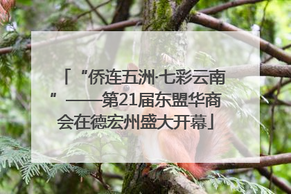 “侨连五洲·七彩云南”——第21届东盟华商会在德宏州盛大开幕