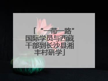 “一带一路”国际学员与西藏干部到长沙县湘丰村研学