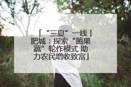 “三夏”一线丨肥城：探索“菌果蔬”轮作模式 助力农民增收致富