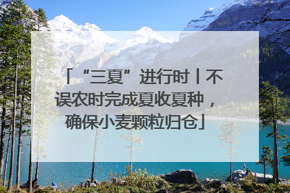 “三夏”进行时丨不误农时完成夏收夏种，确保小麦颗粒归仓