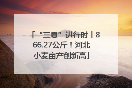 “三夏”进行时丨866.27公斤！河北小麦亩产创新高