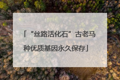 “丝路活化石”古老马种优质基因永久保存