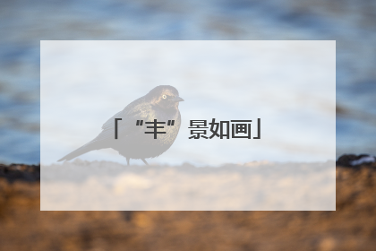 “丰”景如画