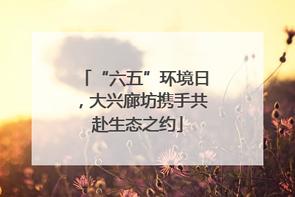 “六五”环境日，大兴廊坊携手共赴生态之约