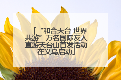 “和合天台 世界共游”万名国际友人直游天台山首发活动在义乌启动
