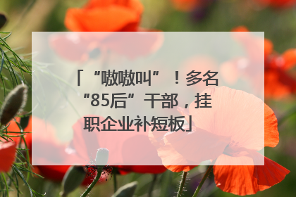 “嗷嗷叫”！多名“85后”干部，挂职企业补短板