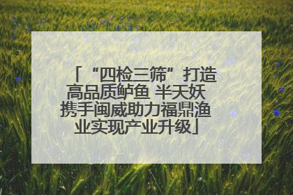 “四检三筛”打造高品质鲈鱼 半天妖携手闽威助力福鼎渔业实现产业升级