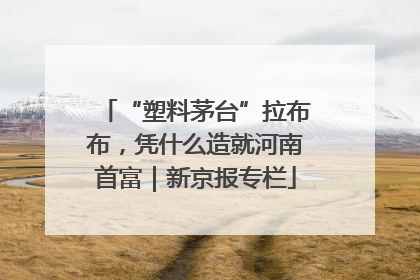 “塑料茅台”拉布布，凭什么造就河南首富｜新京报专栏
