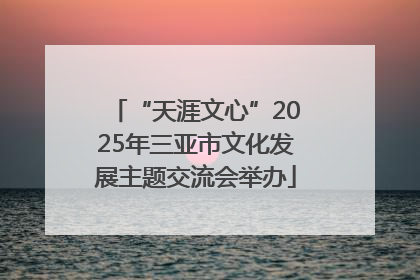 “天涯文心”2025年三亚市文化发展主题交流会举办