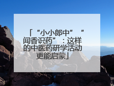 “小小郎中”“闻香识药”：这样的中医药研学活动更能启蒙