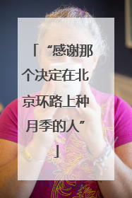 “感谢那个决定在北京环路上种月季的人”