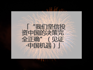 “我们坚信投资中国的决策完全正确”（见证·中国机遇）