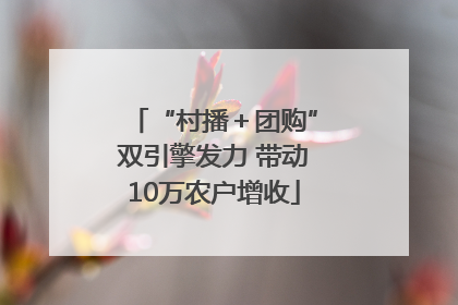 “村播＋团购”双引擎发力 带动10万农户增收