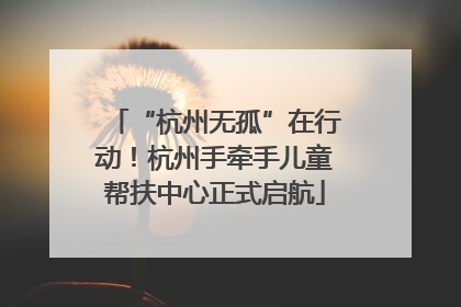 “杭州无孤”在行动！杭州手牵手儿童帮扶中心正式启航