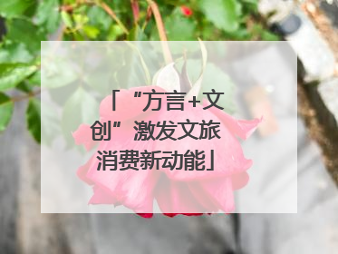 “方言+文创”激发文旅消费新动能