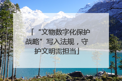 “文物数字化保护战略”写入法规，守护文明需担当