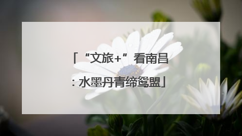 “文旅+”看南昌：水墨丹青缔鸳盟