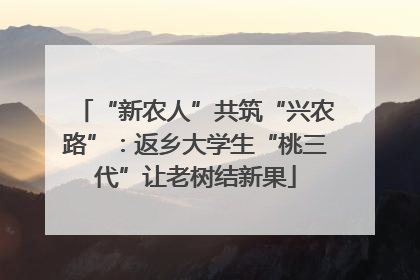 “新农人”共筑“兴农路”：返乡大学生“桃三代”让老树结新果