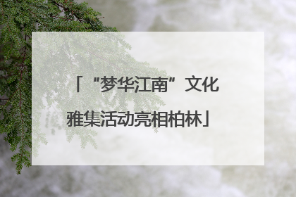 “梦华江南”文化雅集活动亮相柏林