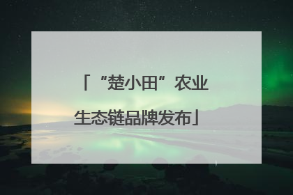 “楚小田”农业生态链品牌发布