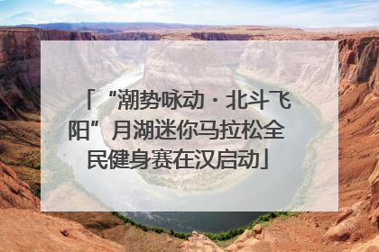 “潮势咏动・北斗飞阳”月湖迷你马拉松全民健身赛在汉启动