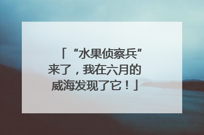 “水果侦察兵”来了，我在六月的威海发现了它！