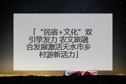 “民宿+文化”双引擎发力 农文旅融合发展激活天水市乡村游新活力