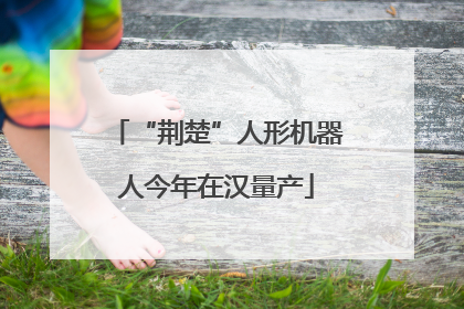 “荆楚”人形机器人今年在汉量产