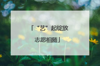 “艺”起绽放 志愿相随