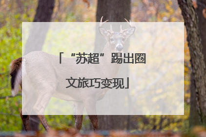 “苏超”踢出圈 文旅巧变现