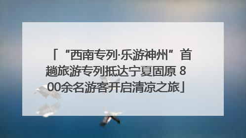 “西南专列·乐游神州”首趟旅游专列抵达宁夏固原 800余名游客开启清凉之旅