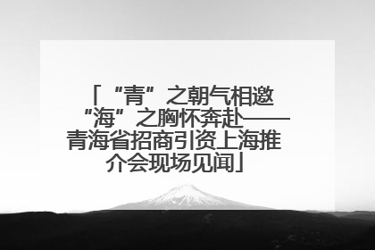 “青”之朝气相邀 “海”之胸怀奔赴——青海省招商引资上海推介会现场见闻