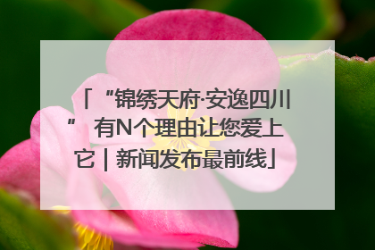 “锦绣天府·安逸四川” 有N个理由让您爱上它｜新闻发布最前线